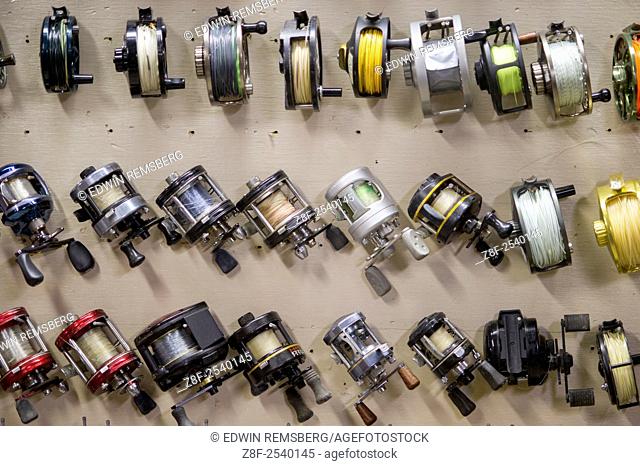 Variety of fishing reels hanging on wall in Timonium, Maryland, USA
