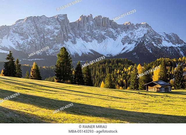 autumnal alp in front of the mountain Latemar, Kölbleggiesen, near Niger pass, South Tyrol, Alto Adige, the Dolomites, Italy