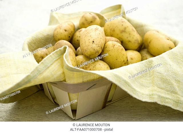 Fresh potatoes in basket