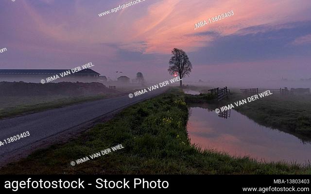 Impressions of a spring hike at sunrise and fog in South Holland in the Alblasserwaard Vijfheerenlanden region near Kinderdijk: polder landscape with farm