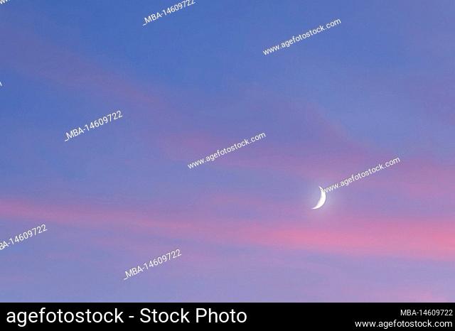 Evening sky with crescent moon and pink veil clouds