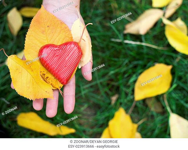 Hand holding Red heart and autumn leafs
