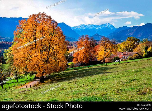 Autumn landscape above the Murnauer moss with Zugspitze group near Hagen, district of Murnau, The Blue Land, Upper Bavaria, Bavaria, Germany, Europe