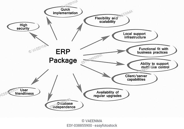 Diagram of ERP Package