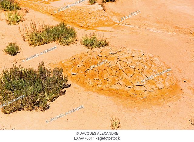 cracked ground in desert