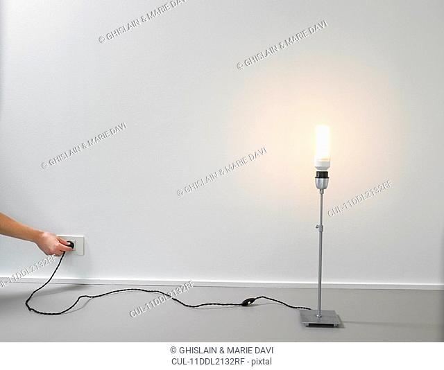 Lamp with energy saver light bulb