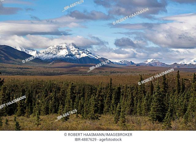 Snow covered mountains of the Alaska Range with tundral landscape, Denali National Park, Alaska, USA