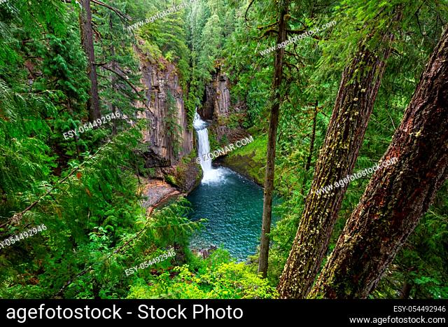 Beautiful waterfall in green forest, Oregon, USA
