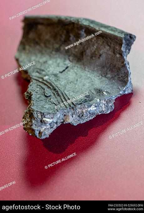 02 May 2023, Saxony-Anhalt, Memleben: A very important shard of Saxon-Slavic pottery (10th/11th century) from the area of the former monumental church on the...