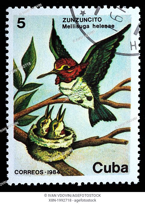 Bee Hummingbird, Zunzuncito Mellisuga helenae, postage stamp, Cuba, 1984