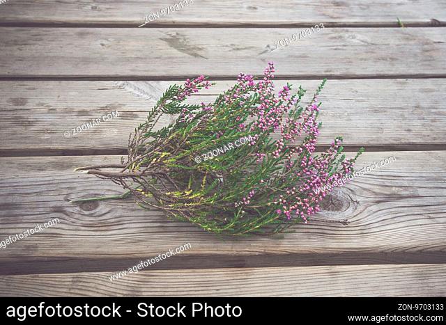 Heather with violet flowers on a wooden table