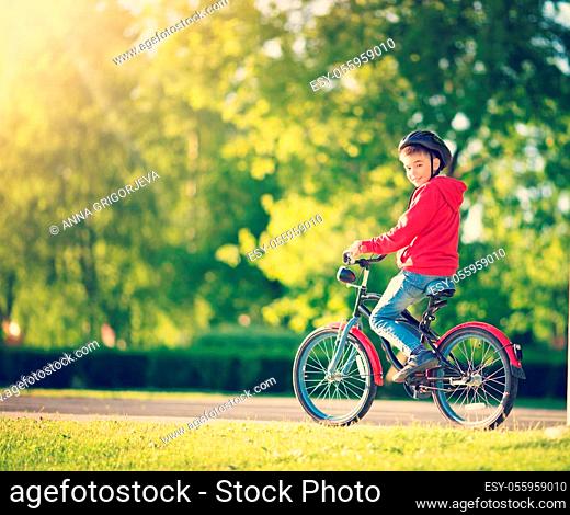 child on a bicycle at asphalt road in summer. Bike in the park. Boy cycling outdoors on beautiful sunny evening