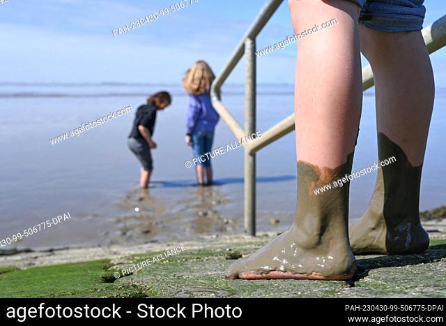 30 April 2023, Lower Saxony, Ditzum: Three children are barefoot in the Wadden Sea and enjoy the weather. Photo: Lars Klemmer/dpa