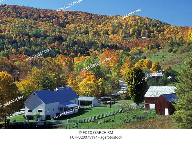 farm, fall, West Topsham, VT, Vermont, Scenic view of the Herman Farm and colorful fall foliage in village of West Topsham in the autumn