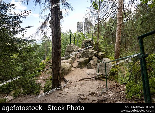 The Prachov Rocks, Rock Towers, Bohemian Paradise, Cesky raj, rock, view, viewpoint (CTK Photo/Marketa Hofmanova)