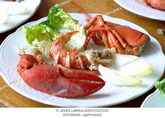 Preparing dishes. Lobster salad. Gastronomical Society, Donostia, San Sebastián, Gipuzkoa, Euskadi. Spain