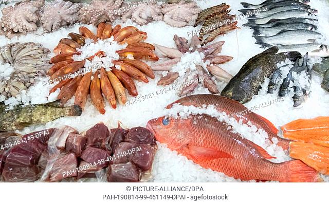 14 August 2019, Hamburg: Fresh fish and other seafood are on a sales table in the Hamburg Altona fish market. Photo: Christian Charisius/dpa