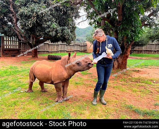 23 November 2022, South Africa, Mbombela: Orphaned baby rhino Daisy, raised at the Care for Wild animal care center, is bottle-fed by founder Petronel Nieuwoudt