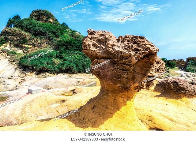 honeycomb and mushroom rocks in Yehliu geopark. Various sedementary rocks along the Northern coast of Taiwan