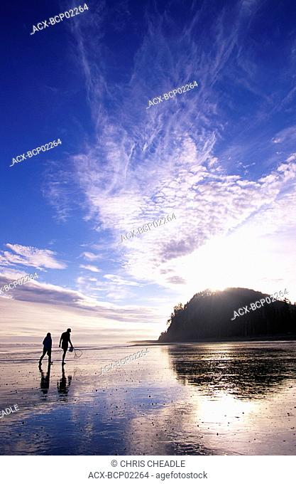 Queen Charlotte Islands, Haida Gwaii, Tow Hill at Agate Beach, Graham Island, British Columbia, Canada