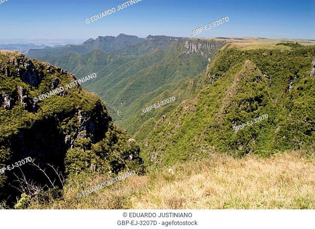 It in the Boundary Among States of Rio Grande do Sul and of Santa Catarina, Trimmed of the Mountain, São José dos Ausentes, Rio Grande do Sul, Brazil