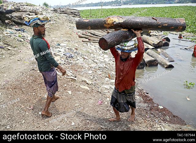 DHAKA CITY, BANGLADESH - AUGUST 10: A man lift a wooden log to get it out of the Buriganga lake after having cut down several trees at Kholamura Ghat and...