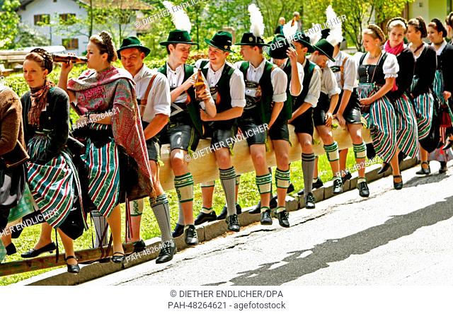 Boys and girls wearing traditional Bavarian costume sit on a May pole, which is on its way to be set up in Eisenaerzt near Siegsdorf, Germany, 01 May 2014