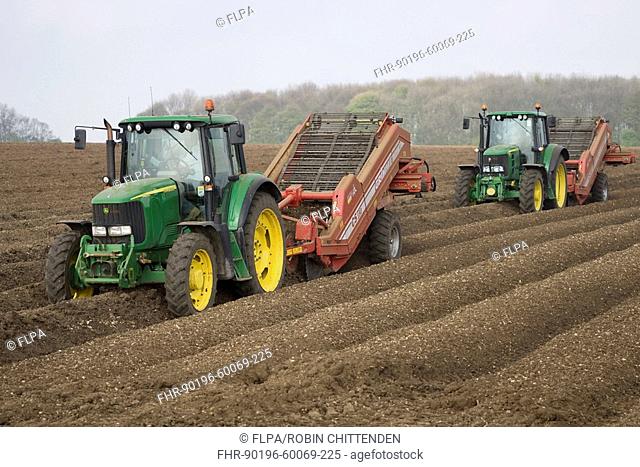 Potato Solanum tuberosum crop, tractors preparing seedbed and removing stones, Saxby Wolds, Lincolnshire, England, april