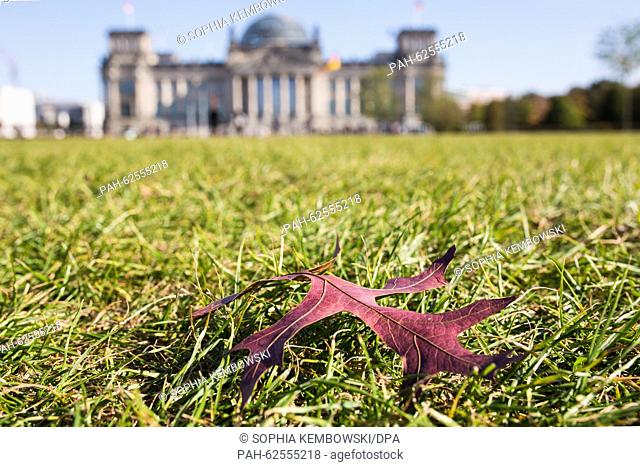 A red autumn leaf lies on the field in front of the Reichstag in Berlin, Germany, 12 October 2015. Photo: Sophia Kembowski/dpa | usage worldwide