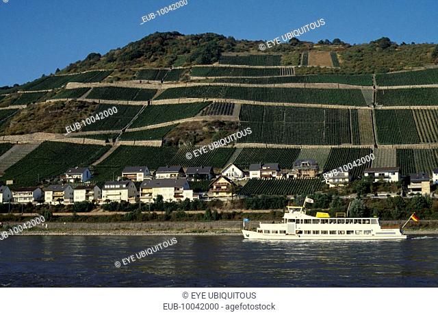 Lorch. Ferry on the River Rhine with waterside houses and hillside vineyards behind