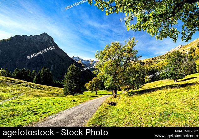 Picturesque mountain landscape on sunny autumn day. Hintersteiner Valley, Allgäu Alps, Bavaria, Germany, Europe