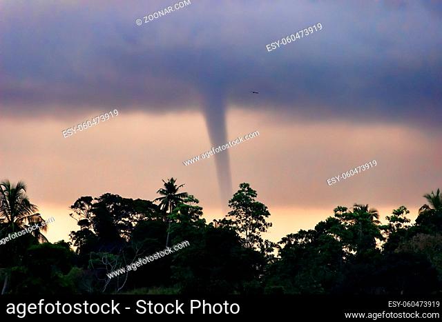 Formation of a tornado on sea in tropics against background of jungle. Dangerous weather disasters on the planet earth