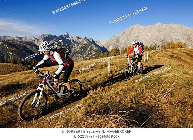 Mountainbikers on Mt Feuerpalven in front of the East Face of Mt Watzmann, Berchtesgadener Land district, Upper Bavaria, Bavaria, Germany, Europe