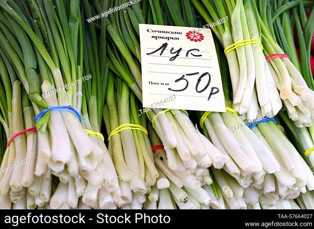 RUSSIA, SOCHI - MARCH 3, 2023: Spring onions are for sale at a food market in Sochi's Matsesta Neighborhood. Dmitry Feoktistov/TASS