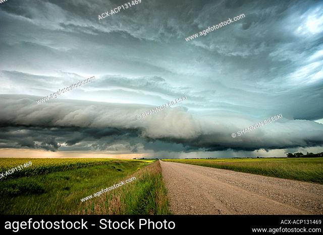 Storm with mesocyclone over a canola field and gravel road in southern Saskatchewan Canada