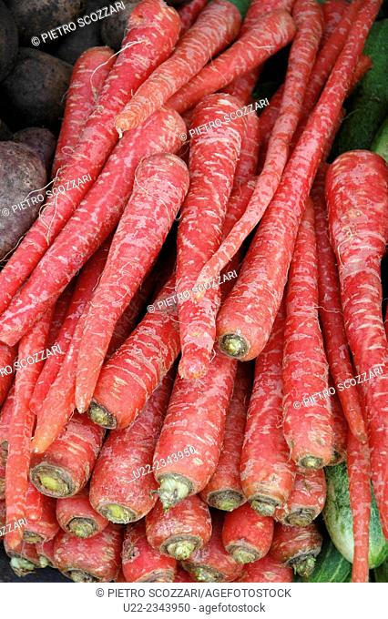 Mapusa, Goa, India: red carrots sold at the municipal market