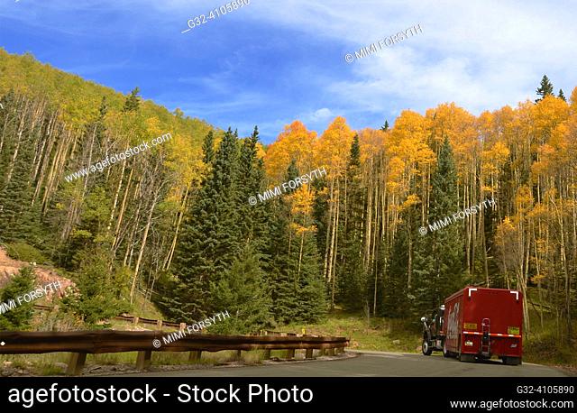 Autumn foliage, New Mexico (Santa Fe National Forest)