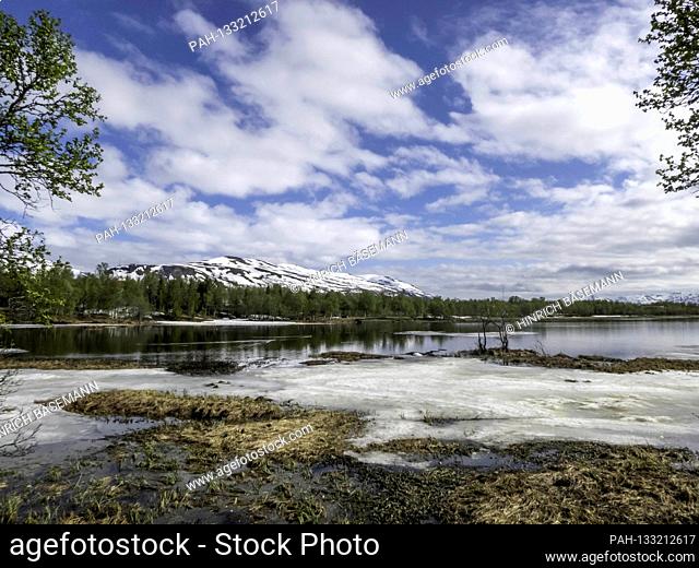 late spring at lake Prestvannet, june 2020 | usage worldwide. - Tromsö/Troms/Norway