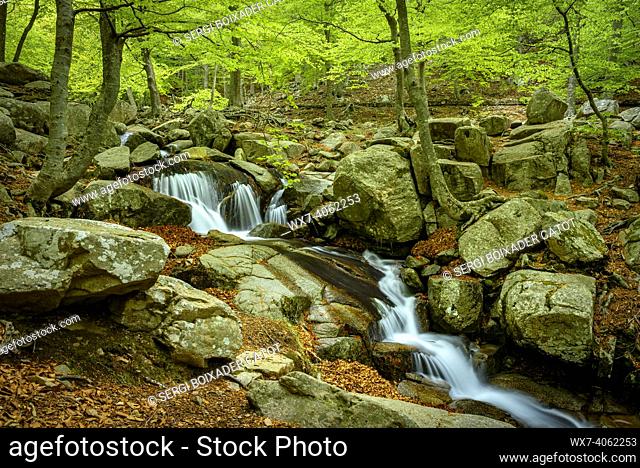Waterfall in Riera de Passavets, in the Santa Fe de Montseny beech forest, during a foggy spring day (Montseny, Barcelona, Catalonia, Spain)