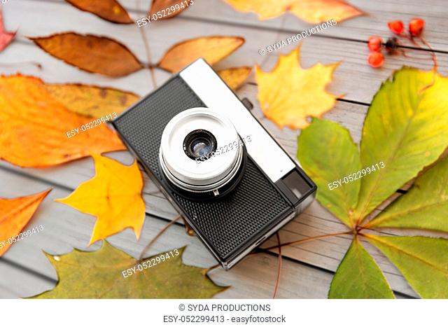film camera and autumn leaves on wooden boards