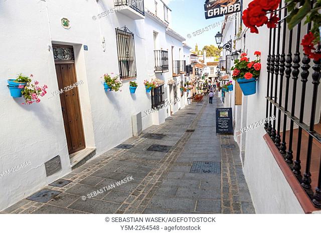 Street in the white hill village of Mijas, Costa del Sol, Andalusia, Spain, Europe