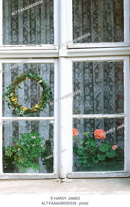 WIndow with wreath and plants