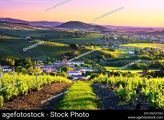 Landscape and Brouilly hill at sunrise in Beaujolais land