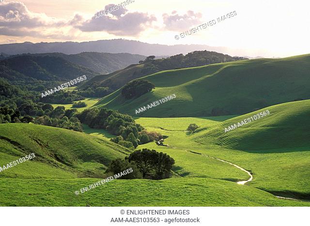 Oak trees, green grass hills over stream water in valley in spring at sunset, Briones Regional Park, Contra Costa County, California
