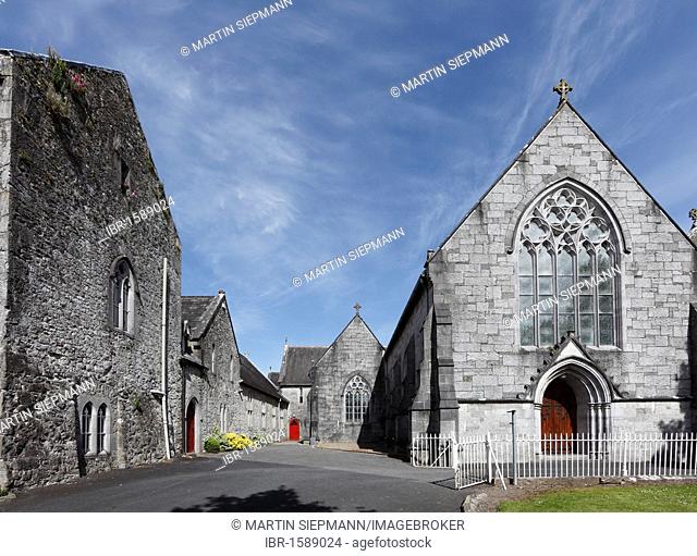 Trinitarian Abbey, Adare, County Limerick, Ireland, British Isles, Europe