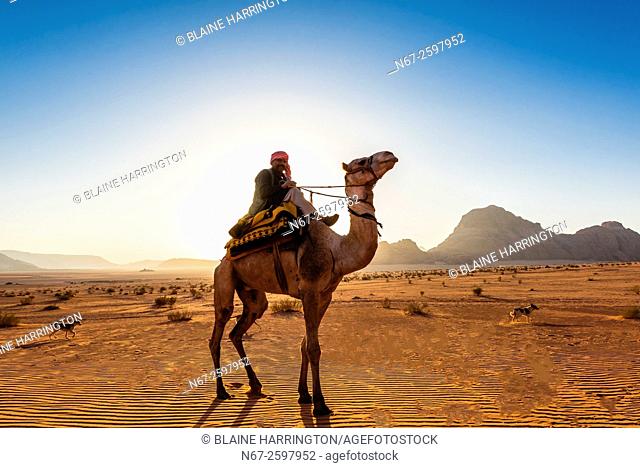 Bedouin man riding a camel in the Arabian Desert, Wadi Rum, Jordan