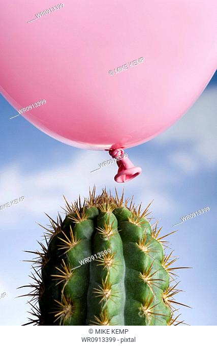 Close-up of a balloon above a cactus
