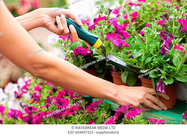 Woman spading flowers in the pot