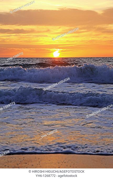 France, Gironde, Montalivet-les-Bains, sunset at Atlantic Ocean