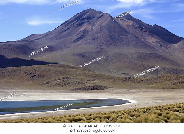 Chile, Antofagasta Region, Andes, Laguna Miscanti, Cerro Miscanti,